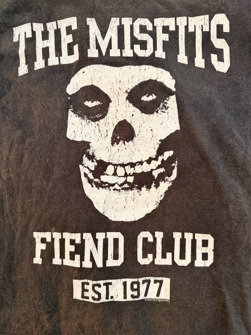 Misfit Fiends Club Shirt Distressed Skull View 3